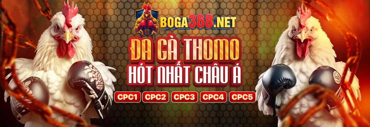 Ứng dụng 18win thể thao trên điện thoại