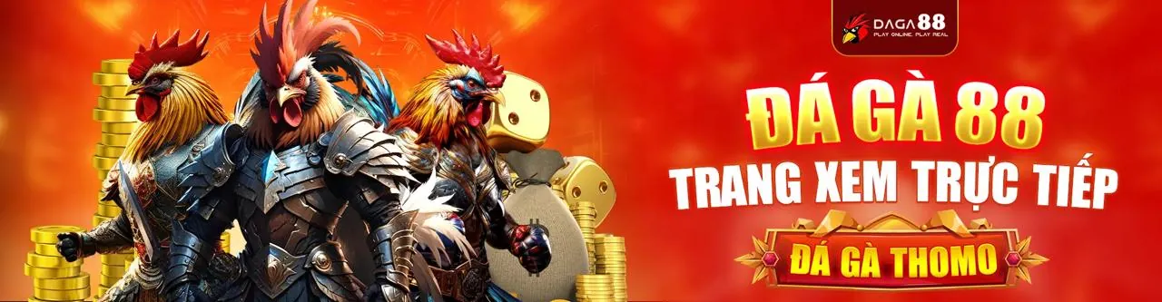 Đá Gà Trực Tuyến Hấp Dẫn tại 18win thể thao